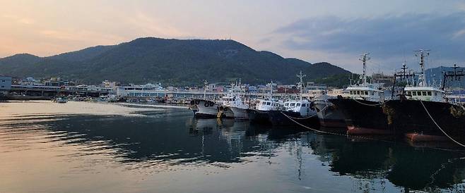 "근해어업 전국 동시허가 신청하세요" [사천시 제공. 재판매 및 DB 금지]