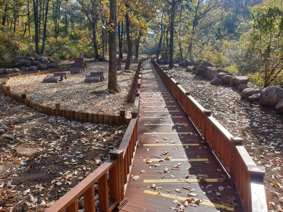 창원시가 성산구 성주동 유니온빌리지아파트부터 불모산 상점령까지 3.5km 구간에 만든 솔향기데크로드 모습 ⓒ창원시