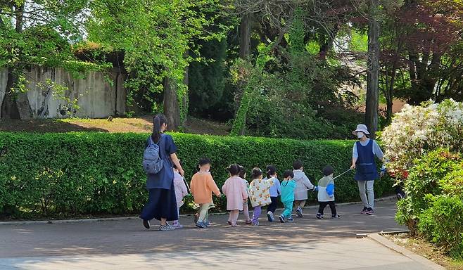 나들이 나온 유치원생들 5월 4일 서울 광진구 어린이대공원에서 나들이 나온 유치원생들이 교사들의 인솔에 맞춰 걸어가고 있다. [연합뉴스 자료사진]
※기사와 직접적인 연관이 없는 사진임.