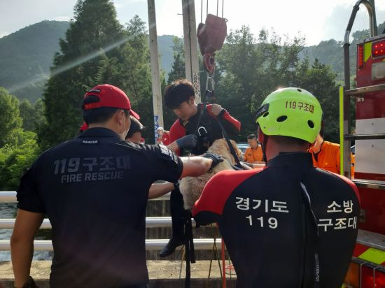 김진유 소방교가 지난 8월 물에 빠진 반려견을 무사히 구조하고 있다.