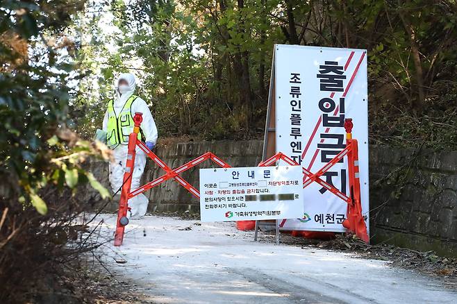 경북 예천군의 한 오리농장에서 발생한 고병원성 조류인플루엔자(AI) 확진과 관련해 가축위생방역지원본부 관계자들이 농장 입구를 통제하고 있다./뉴스1