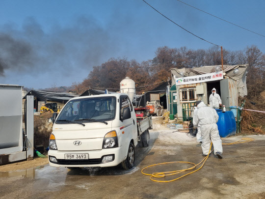 11일 충남 천안의 한 종오리 농장에서 고병원성 조류인플루엔자(AI)가 발생한 가운데 시 방역 당국이 농장 주변에서 차단방역을 하고 있다.<사진=천안시 제공>