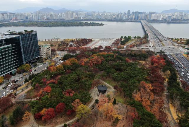 막바지 가을 날씨를 보인 13일 오후 서울 영등포구 여의도공원에 단풍이 붉게 물들어 있다. 뉴스1