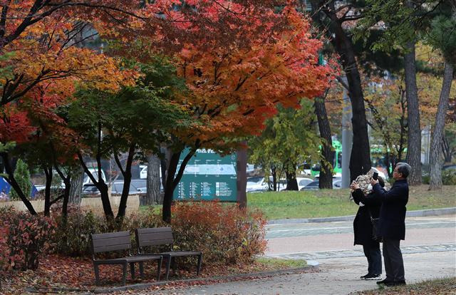 가을이 떠나기 전에 - 막바지 가을 날씨를 보인 13일 서울 영등포구 여의도공원에서 두터운 외투를 입은 시민들이 울긋불긋 물든 단풍을 보며 가을을 만끽하고 있다. 뉴스1