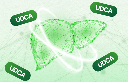 간 기능 개선 효과로 알려진 UDCA. 체내 노폐물 배출을 돕기도 한다┃출처: 하이닥