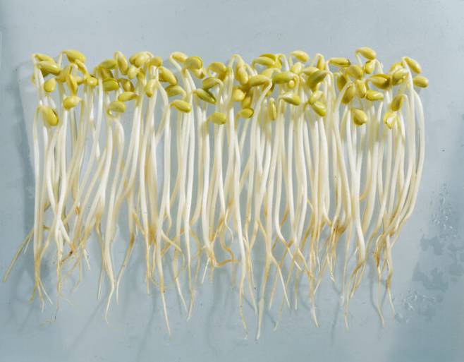 [사진=클립아트코리아]