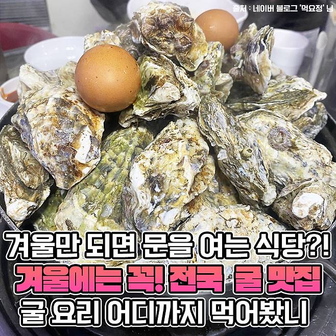 겨울에만 먹을 수 있다, 웨이팅 어마어마하다는 굴 맛집 | 밥심