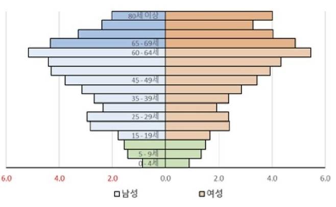 영도구 인구 피라미드 모습 [이상림 연구위원 자료]