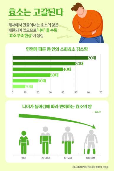 나이가 들면서 체내에서 생성되는 효소는 크게 줄어든다. [그래픽=최소연 디자이너]