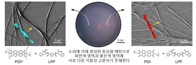 소리를 이용한 키랄성 고분자 물질 분리. PDI 분자는 LPF 분자와 결합하여 왼방향 꼬임 고분자를 형성하지만, 환원된 PDI2- 분자는 오른방향 꼬임 고분자를 형성한다는 성질이 있다. PDI, LPF, 그리고 환원제를 함께 섞고 용액에 소리를 적용하면, 용액이 산화 영역과 환원 영역으로 분리되면서 각각의 영역에 서로 다른 꼬임 방향을 가지는 키랄성 고분자가 존재하게 된다. 두 물질의 색깔이 다르므로 동심원 색깔 패턴으로 두 물질의 시공간적 형성과 분리가 이루어졌음을 확인할 수 있다. 좌: PDI2-와 LPF 분자로 이루어진 오른방향 꼬임 고분자의 SEM 이미지. 중: 소리 적용 후 생성된 동심원 패턴 사진. 우: PDI와 LPF 분자로 이루어진 왼방향 꼬임 고분자의 SEM 이미지. (자료=IBS)