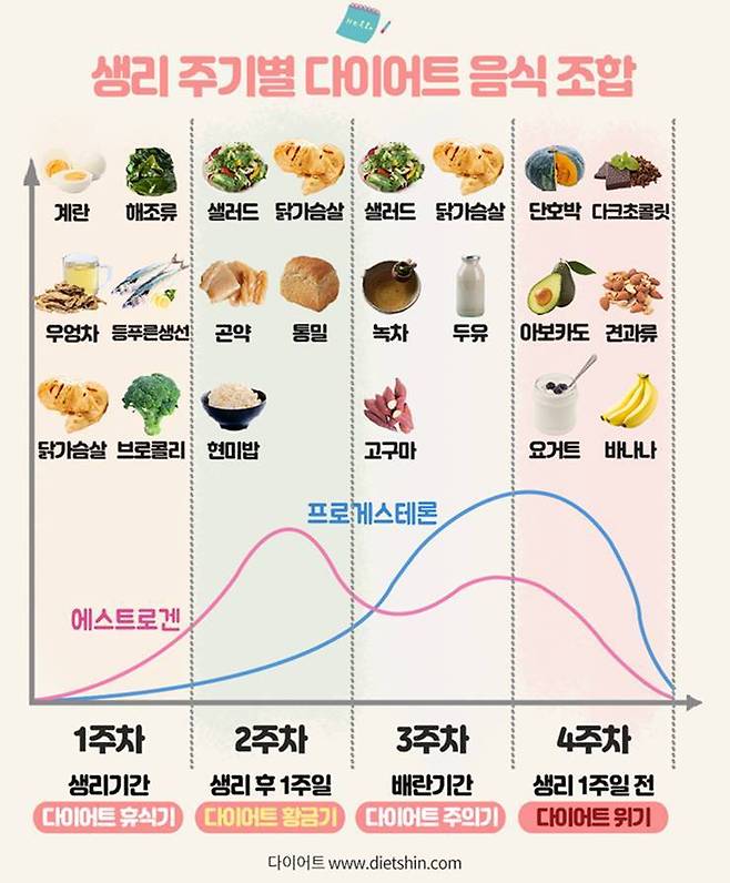 생리 기간 다이어트 생리 주기의 사용