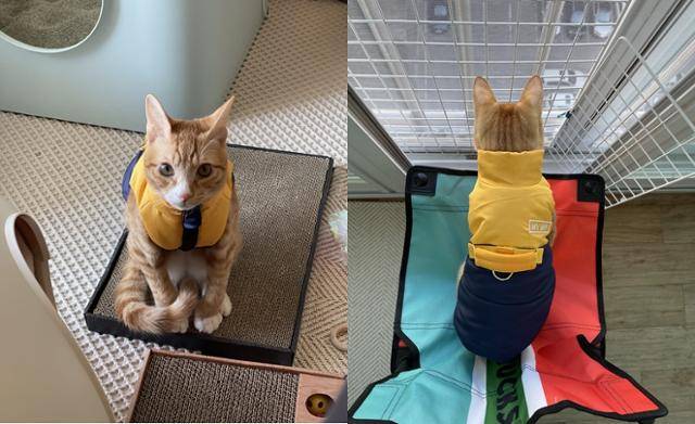 태오의 어렸을 적 모습