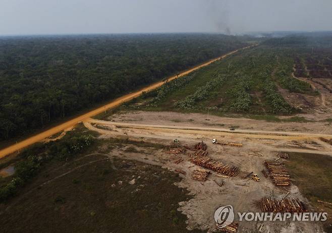 황폐해진 아마존 [AP 연합뉴스 자료사진. 재판매 및 DB 금지]