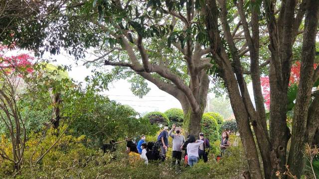 ▲순천시 매곡동 매산등 100년정원 열린정원 모습 ⓒ순천시