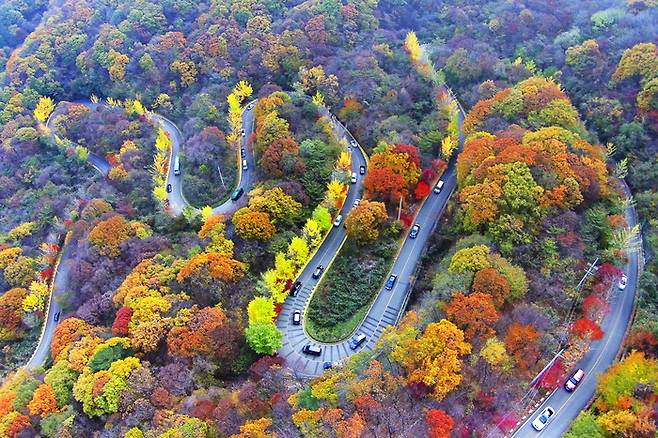적상산 전망대 가는 길. 사진제공|무주군청