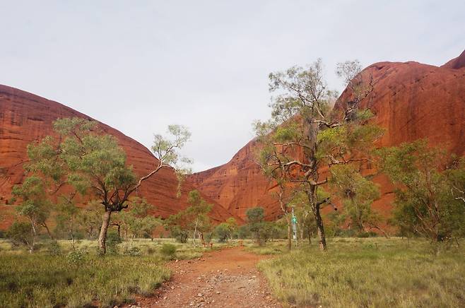 '바람의 계곡'으로 향하는 길이 마치 쥬라기 공원에 와 있는 듯하다.