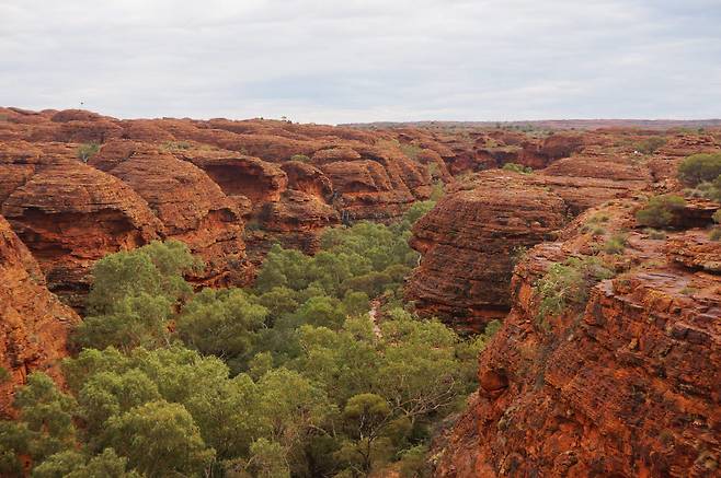 킹스캐년의 기이한 지층 언덕이 마치 다른 행성에 와 있는 듯한 착각을 하게 한다.