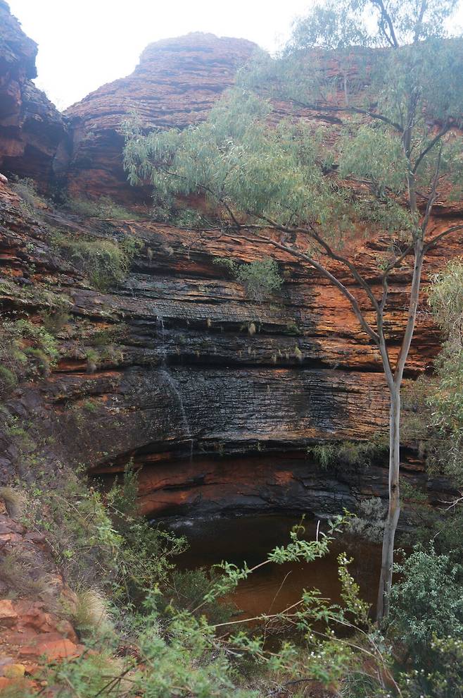 사막에서는 쉽게 찾아보기 힘든 이 작은 오아시스를 호주 사람들은 '에덴동산'이라 부른다