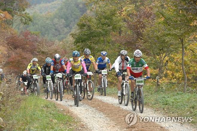 산악자전거 즐기는 사람들 [한국관광공사 세종충북지사 제공.재판매 및 DB 금지]