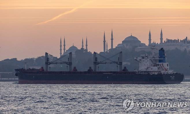 이스탄불 보스포루스 해협 지나는 곡물 수출선 [로이터 연합뉴스 자료사진. 재판매 및 DB 금지]