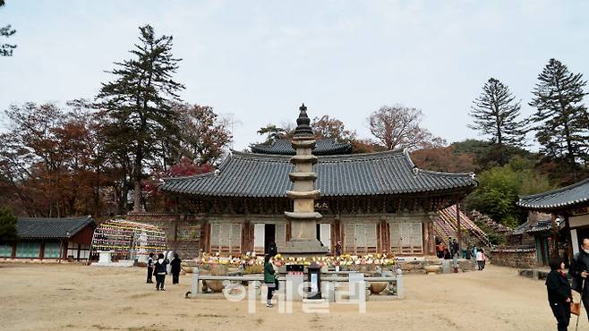 마곡사 오층석탑과 대웅보전