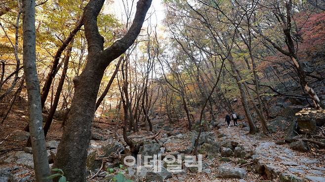 갑사를 지나 계룡산 등산로를 따라 용문폭포 가는길