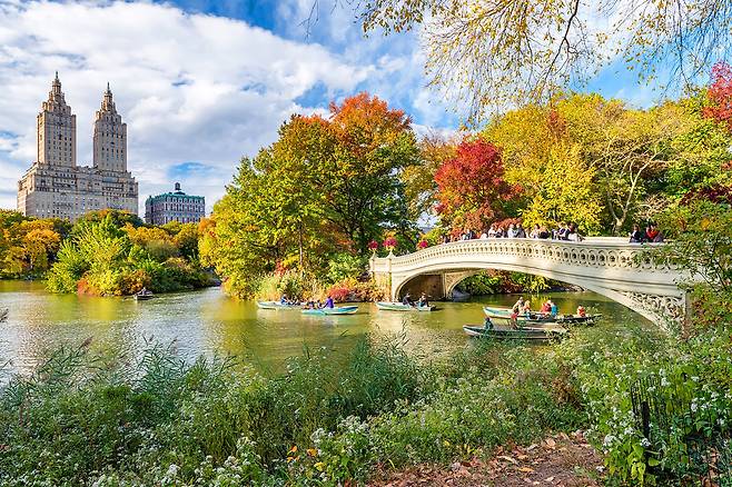 [사진] 뉴욕_센트럴 파크