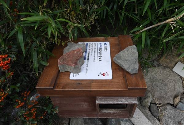 부산 사하구 을숙도에 마련된 고양이 급식소. 사하구는 시 예산을 지원받아 이 급식소를 을숙도 곳곳에 설치해 운영 중이다. 을숙도=이한형 기자