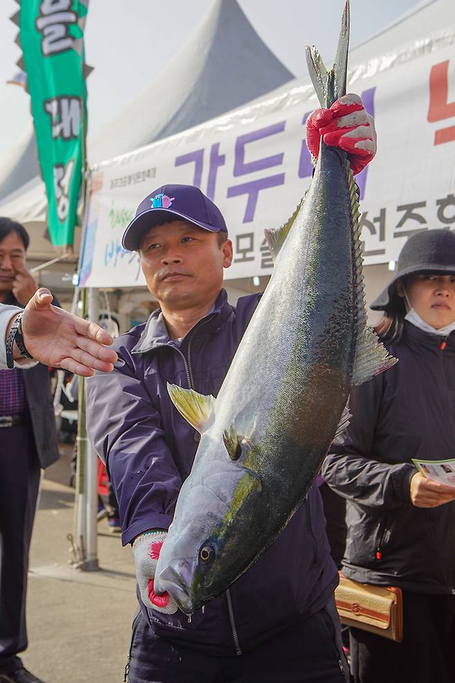 사진 = 최남단 방어축제 홈페이지