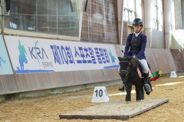 제주에서 열린 스포츠말 품평회.