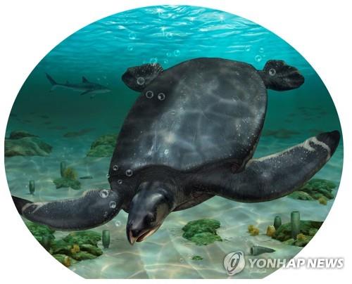 스페인에서 발굴된 고대 바다거북 '레비아타노켈리스 아이니그마티카'의 상상도. 사진=로이터연합뉴스