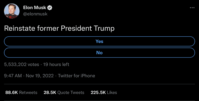 도널드 트럼프 전 미국 대통령의 트위터 복귀 여부를 설문에 부친 일론 머스크. 일론 머스크 트위터 계정