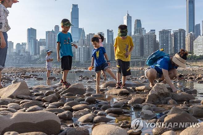 바닥 드러낸 중국 충칭시 양쯔강 지류 (충칭 EPA=연합뉴스) 중국 충칭을 지나는 양쯔강의 지류 자링강이 21일 심한 가뭄으로 바닥을 드러낸 가운데 어린이들이 가재를 잡고 있다. 중국은 수십년래 최악의 가뭄과 폭염에 시달리고 있다.
 2022.08.22 jsmoon@yna.co.kr