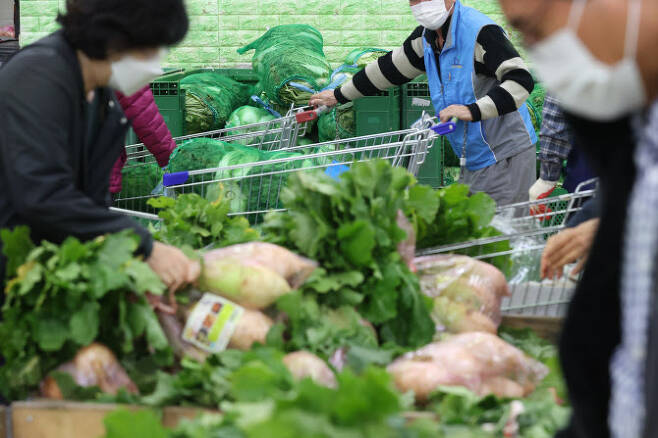 지난 17일 서울 농협 하나로마트 양재점에서 고객들이 김장 재료를 살펴보고 있다. (사진=연합뉴스)