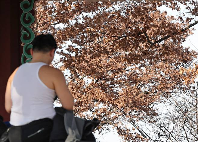 포근한 날씨를 보인 20일 오후 서울 남산에서 한 시민이 겉옷을 벗은 채 휴식을 취하고 있다. (사진=연합)