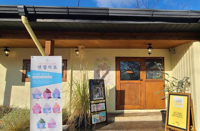 제주도 서귀포시 안덕읍에 있는 그림책방 노란우산 2호점. 제주 최초의 그림책 전문 서점이다.