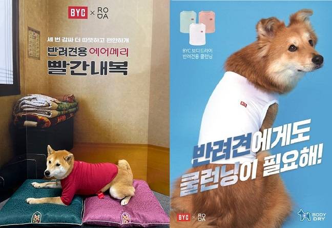 BYC의 반려견용 겨울 내복(왼쪽)과 여름 쿨 런닝(오른쪽)/사진제공=BYC