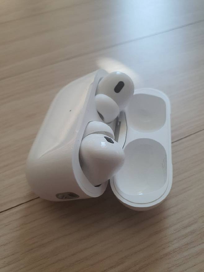 충전케이스 외부에도 스피커가 생겼다. (사진=김정유 기자)