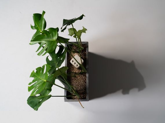 KAIST 송우택 학생이 개발한 '그로울(GROWL)'은 화분에 설치해 식물을 건드리면 호랑이 소리를 내서 고양이를 쫓는다. KAIST 제공