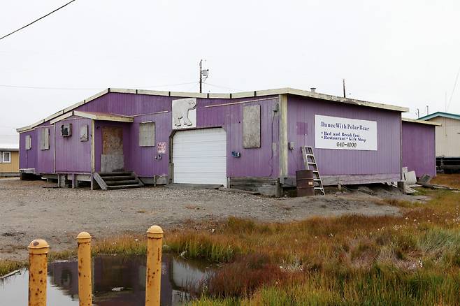 북금곰이 그려져 있는 자줏빛 건물. 외벽에 '북극곰과 춤을'이라고 써있다.