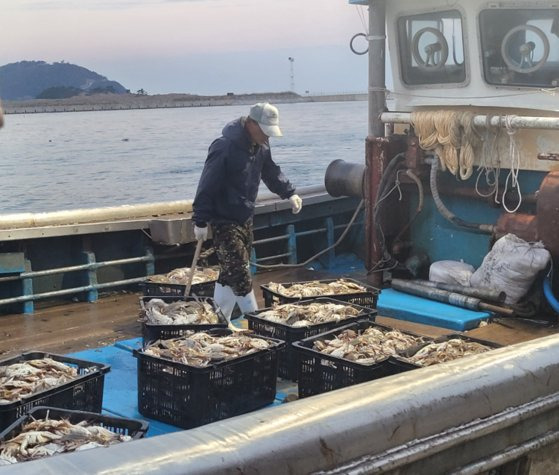 지난달 26일 조영미씨가 조업을 마치고 돌아오는 남편 등 선원을 마주하고 있다. 조씨는 올해 가을 연평도에선 꽃게잡이가 흉년이라고 했다. 사진 조영미씨