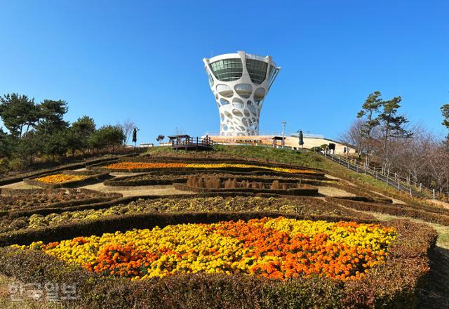 간월호와 부남호 사이에 천수만 철새를 관찰할 수 있는 서산버드랜드가 자리 잡고 있다.