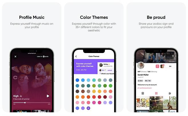 프로필에 음악이나 테마 색상, 별자리 등을 추가할 수 있는 점이 특징이다. 출처=하이브