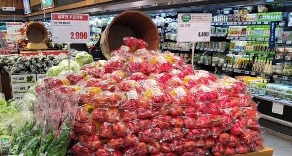 롯데마트 화명점에 ‘상생파프리카’가 진열돼 있다.(사진=롯데마트)