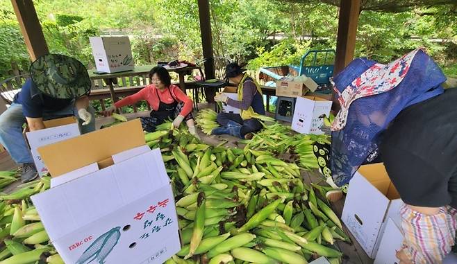 농림축산식품부와 농림수산식품교육문화정보원가 주관한 ‘농촌에서 살아보기’ 우수사례 발표회에서 최우수상을 받은 횡성 산채마을. 사진제공=농림축산식품부