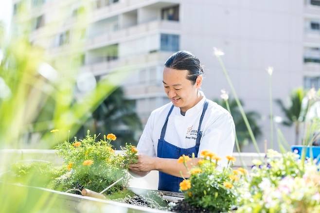 프린스 와이키키 건물 루프톱에서 직접 식자재를 재배한다.  /사진= 프린스 와이키키