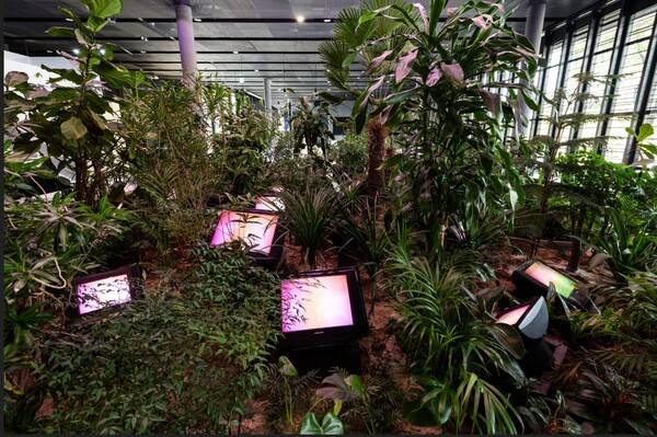 백남준, TV 정원 [백남준아트센터]