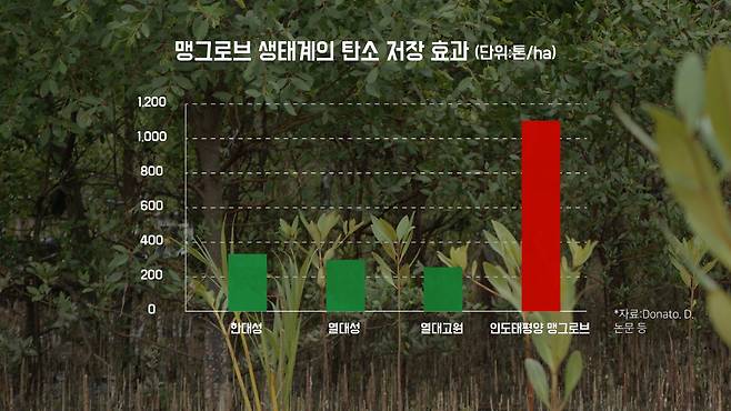 [디자인=이보름(디브스튜디오)]