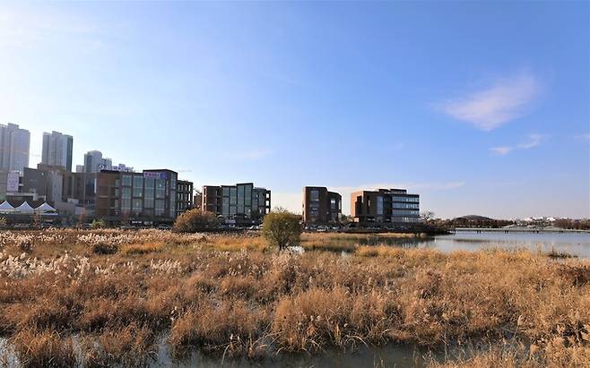 천안 신도심 한복판에 위치한 성성호수공원은 갈대밭의 풍경과 철새 무리로 가을과 겨울 경치가 일품이다.&nbsp;