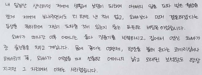친오빠를 잃은 여동생 연씨의 탄원서./사진=국민동의청원 홈페이지